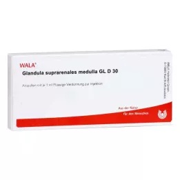 GLANDULA SUPRARENALES Medulla GL D 30 ampulla, 10X1 ml