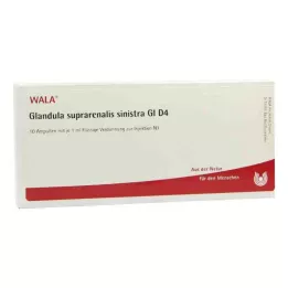 GLANDULA SUPRARENALIS sinistra GL D 4 ampulla, 10X1 ml