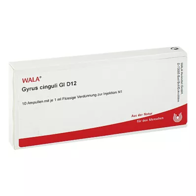 GYRUS cinguli GL D 12 ampulla, 10X1 ml GYRUS cinguli GL D 12 ampulla, 10X1 ml