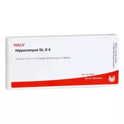 Hippocampus Gl D6 ampullák (10x1 ml)