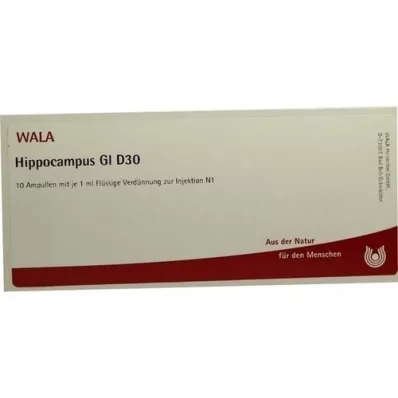 HIPPOCAMPUS GL D 30 ampullák, 10X1 ml