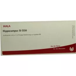 HIPPOCAMPUS GL D 30 ampullák, 10X1 ml