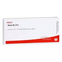 ILEUM GL D 5 ampulla, 10X1 ml