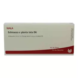 ECHINACEA E planta tota D 6 ampulla, 10X1 ml