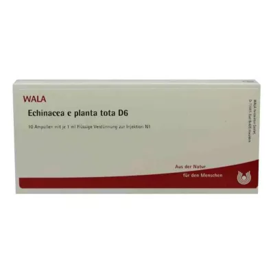 Echinacea E planta tota D6 ampulla (10x1 ml) Echinacea E planta tota D6 ampulla (10x1 ml)
