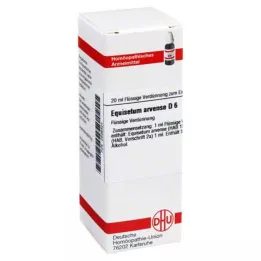 EQUISETUM ARVENSE D 6 Hígítás, 20 ml