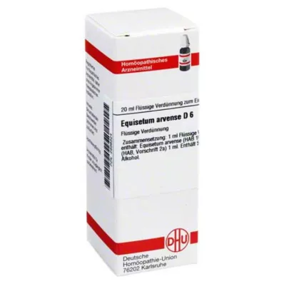 EQUISETUM ARVENSE D 6 Hígítás, 20 ml