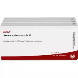 ARNICA E Planta tota D 30 ampulla, 50X1 ml