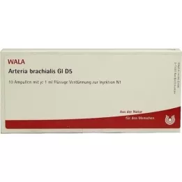 ARTERIA BRACHIALIS GL D 5 ampulla, 10X1 ml