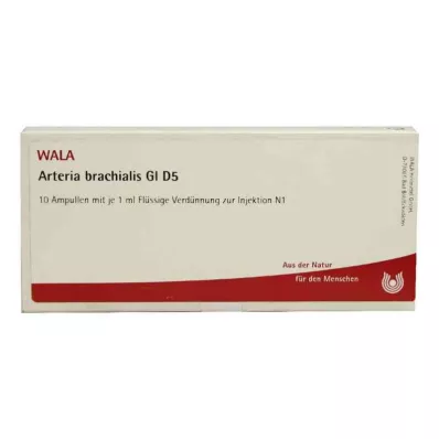 Arteria Brachialis Gl D5 ampulla (10x1 ml)
