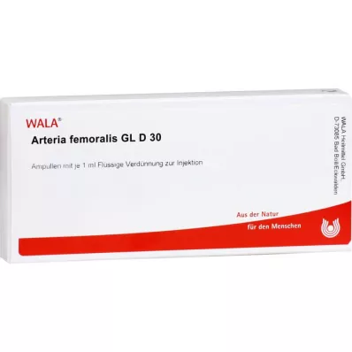 ARTERIA FEMORALIS GL D 30 ampullák, 10X1 ml