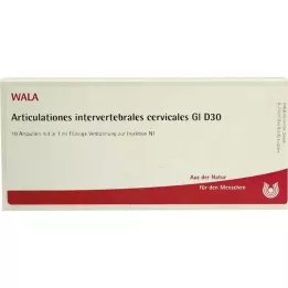 ARTICULATIONES csigolyacsigolyák.GL D 30 Amp., 10X1 ml