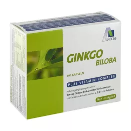 GINKGO 100 mg kapszula+B1+C+E, 192 db