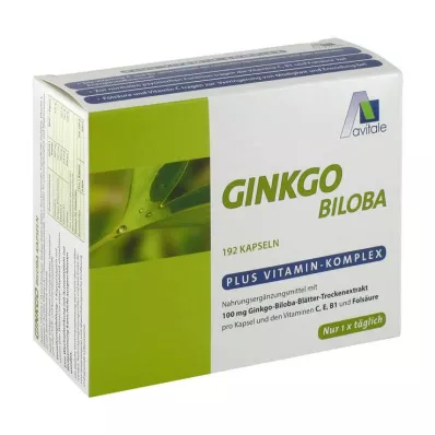 GINKGO 100 mg kapszula+B1+C+E, 192 db