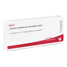 CALCIUM CARBONICUM CUM quercus D 12 ampulla, 10X1 ml