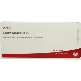 CAVUM tympani GL D 6 ampulla, 10X1 ml