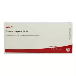 CAVUM tympani GL D 6 ampulla, 10X1 ml