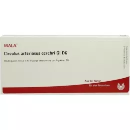 CIRCULUS arteriosus cerebri GL D 6 ampulla, 10X1 ml