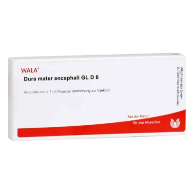 DURA MATER encephali GL D 6 ampulla, 10X1 ml