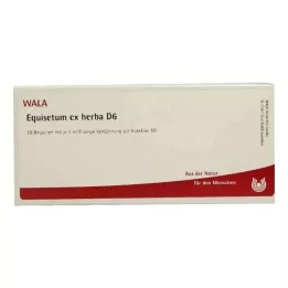 EQUISETUM EX Herba D 6 ampulla, 10X1 ml