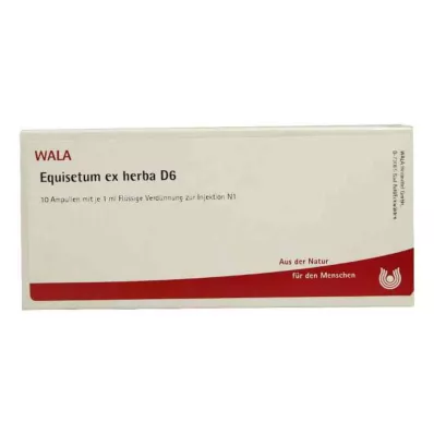 EQUISETUM EX Herba D 6 ampulla, 10X1 ml EQUISETUM EX Herba D 6 ampulla, 10X1 ml