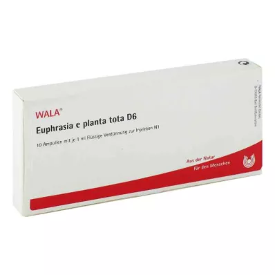 EUPHRASIA E planta tota D 6 ampulla, 10X1 ml EUPHRASIA E planta tota D 6 ampulla, 10X1 ml