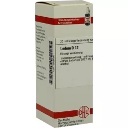 LEDUM D 12 Hígítás, 20 ml