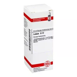 LEDUM D 12 Hígítás, 20 ml
