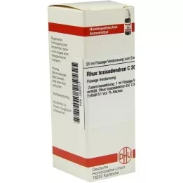 RHUS TOXICODENDRON C 30 hígítás, 20 ml