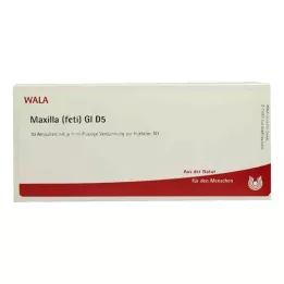 MAXILLA feti GL D 5 ampulla, 10X1 ml