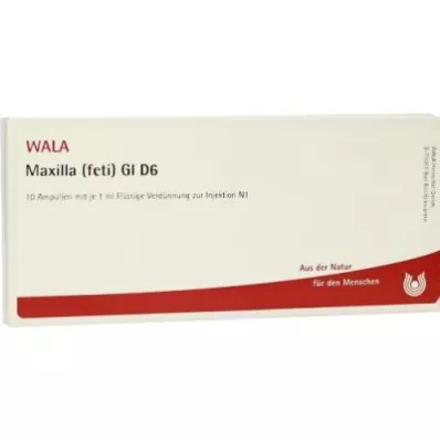 MAXILLA feti GL D 6 ampulla, 10X1 ml MAXILLA feti GL D 6 ampulla, 10X1 ml