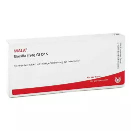 MAXILLA feti GL D 15 ampulla, 10X1 ml