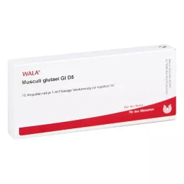 MUSCULI GLUTAEI GL D 5 ampulla, 10X1 ml