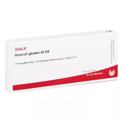 MUSCULI GLUTAEI GL D 5 ampulla, 10X1 ml