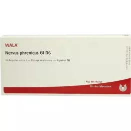 NERVUS PHRENICUS GL D 6 ampulla, 10X1 ml
