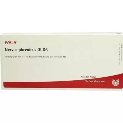 NERVUS PHRENICUS GL D 6 ampulla, 10X1 ml