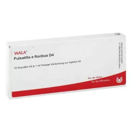 PULSATILLA E floribus D 4 ampulla, 10X1 ml