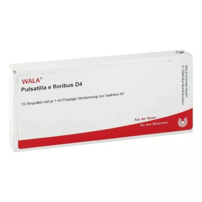 PULSATILLA E floribus D 4 ampulla, 10X1 ml
