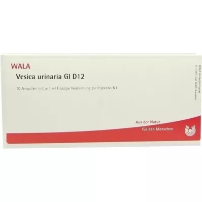 VESICA URINARIA GL D 12 ampulla, 10X1 ml