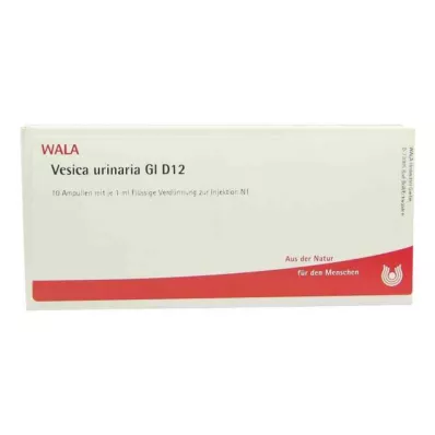 Vesica Urinaria Gl D12 ampulla (10x1 ml)