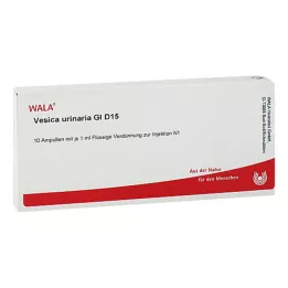 VESICA URINARIA GL D 15 ampullák, 10X1 ml