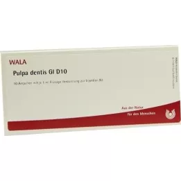 PULPA DENTIS GL D 10 ampulla, 10X1 ml