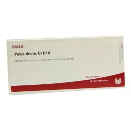 PULPA DENTIS GL D 10 ampulla, 10X1 ml