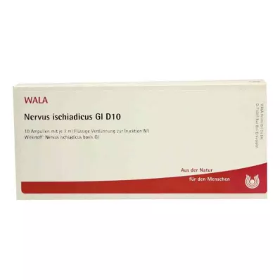 Isiász ideg Gl D10 ampulla (10x1 ml)