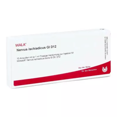 Isiász ideg Gl D12 ampulla (10x1 ml) Isiász ideg Gl D12 ampulla (10x1 ml)