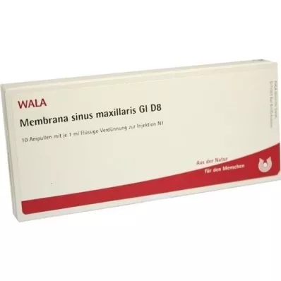 MEMBRANA sinus maxillaris GL D 8 ampulla, 10X1 ml
