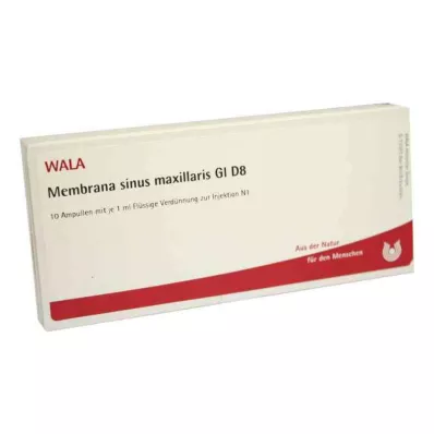 Membrana sinus maxillaris Gl D8 ampullák (10x1 ml)