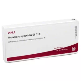 MEMBRANA synovialis GL D 12 ampulla, 10X1 ml