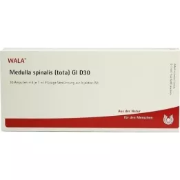 MEDULLA SPINALIS tota GL D 30 ampulla, 10X1 ml