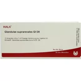 GLANDULAE SUPRARENALES GL D 8 ampullák, 10X1 ml